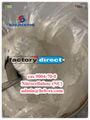 Hot selling High purity Nitrocellulose NC CAS 9004-70-0 H nitrocellulose, NC, 