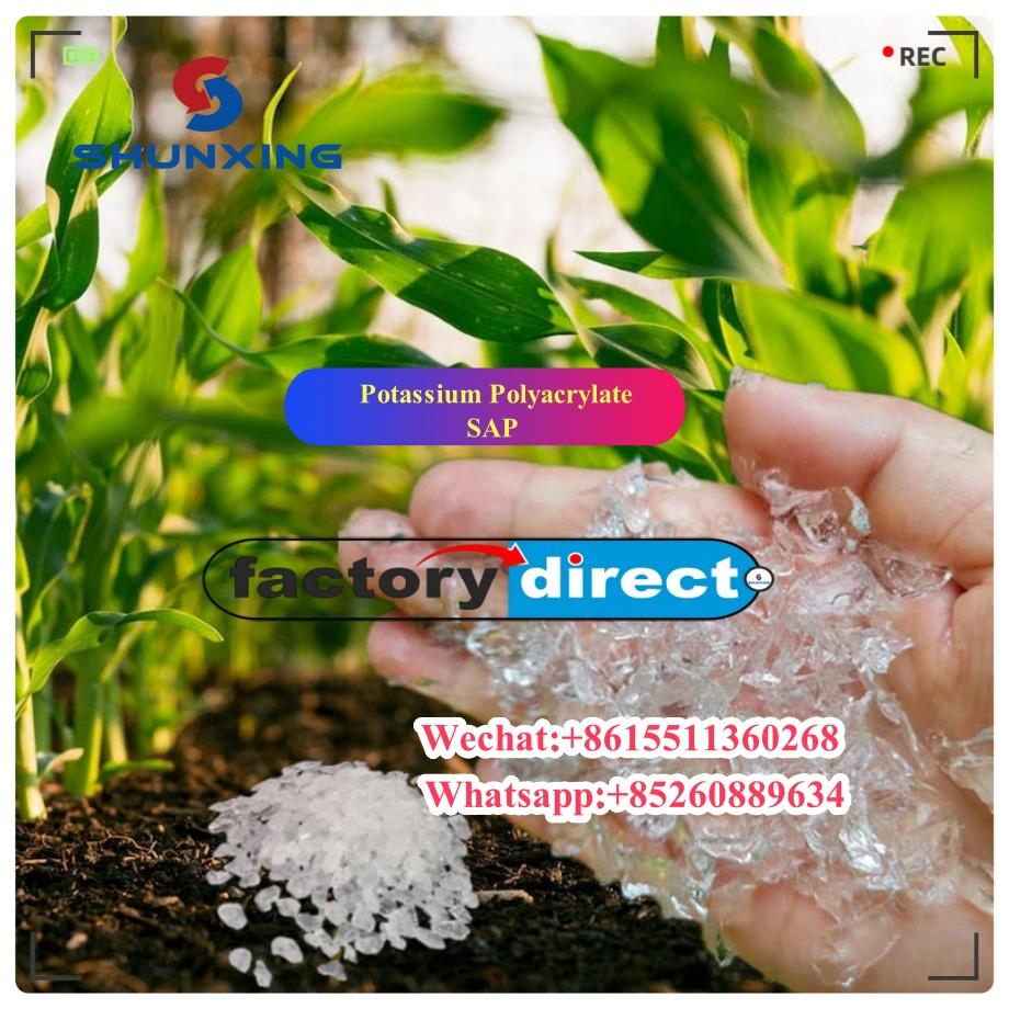 Potassium Polyacrylate/Sap for Agriculture Hot selling 2