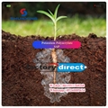  Potassium Polyacrylate/Sap for Agriculture Hot selling