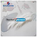 High Purity Hot Melt Adhesive TPU Dtf Powder for Printing