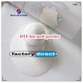 Heat Transfer Adhesive Dtf Powder from