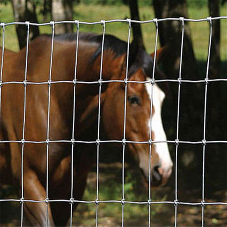 Fence