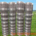 wire mesh  fence for cow/sheep/animal 3