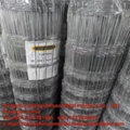 wire mesh  fence for cow/sheep/animal 4