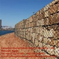 gabion box  
