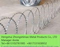 Razor Barbed wire 2