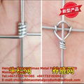 wire mesh  fence for animal 4