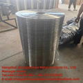 Welded wire mesh 