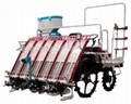 Rice Deep Placement of Fertilizer
