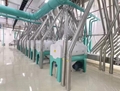 CHINA 500T Concrete Structure Wheat
