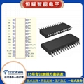 TTY7955 SSOP28/