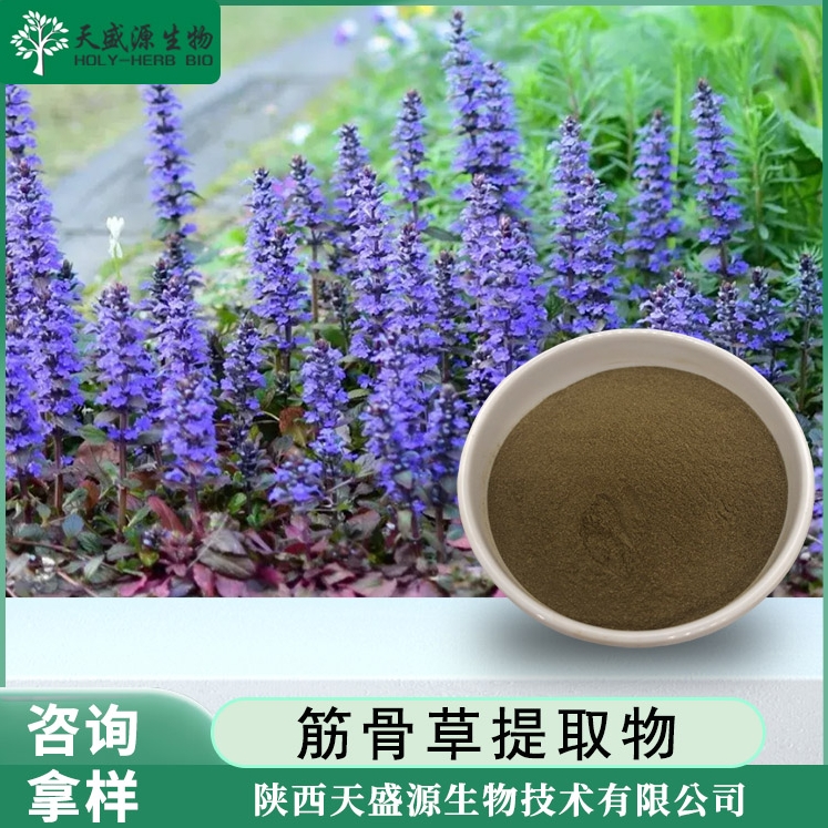 土克甾酮2%-20% 筋骨草提取物 筋骨草粉