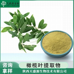 橄欖葉提取物 橄欖苦甙20% 油橄欖橄欖苦苷