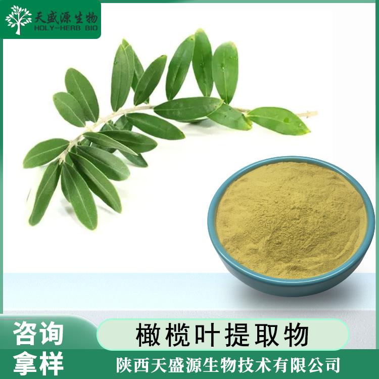 橄榄叶提取物 橄榄苦甙20% 油橄榄橄榄苦苷 2