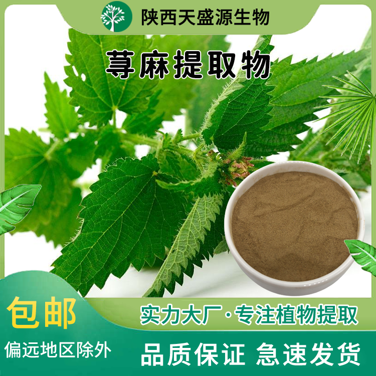有机荨麻粉 无农残 荨麻提取物 欧盟有机荨麻 异株荨麻