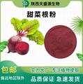 速溶甜菜根粉 甜菜根提取物 甜