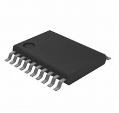 MSP430G2403IPW20R