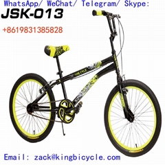 bicycle Customizable 20 Inch Kids Bicycle Big Boy Adult Road Bike Eco Friendly