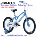bicyLightweight Single Speed 16 Inch