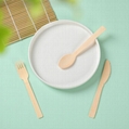 BAMBOO CUTLERY (KNIFE/FORK/SPOON) 3