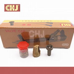 CHJ Common rail valve seat  valve cap 