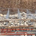 Hexagonal Wire Netting 5