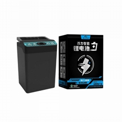 48V 24ah LiFePO4 Batteries Storage Battery Lithium Batteries Manufacturer