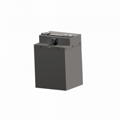 30ah 48V Lithium Battery Electric Motorcycles Lithium Batteries LiFePO4 Cruise S