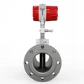 SUP-LUGB Vortex flowmeter with temperature & pressure compensation 3