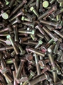 double end bolt 3