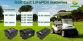 Lithmate 10 Years Lifespan 4000 Cycle Golf Cart Lifepo4 Battery