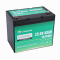 12v 24v 36v Lithium Lifepo4 Batteries for Momility Scooter, Power Wheelchair