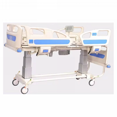 Five function electric bed