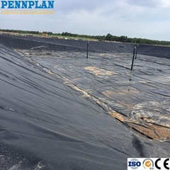 ASTM High Quality 0.2mm~3.0mm HDPE LDPE Waterproof Geomembrane for Agriculture P