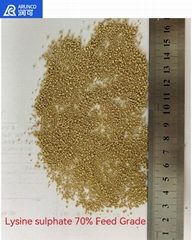 Lysine Sulphate 70% Feed Grade