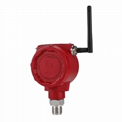 Explosion-Proof Temperature Sensor IP67 Waterproof Thermostat Gas Liquid Water