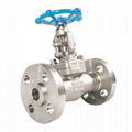 Stainless Steal Flanged Globe Valve 2