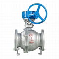 Gear Driven Floating Ball Valve