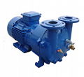 2BV Monoblock series liquid ring vacuum pump of vacuum pupmp SIHI