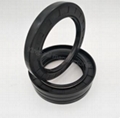 TC TG SC NBR FKM OIL SEAL