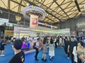 2025年上海國際智能影音展覽
