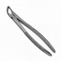 Dental Extracting Forceps Pliers