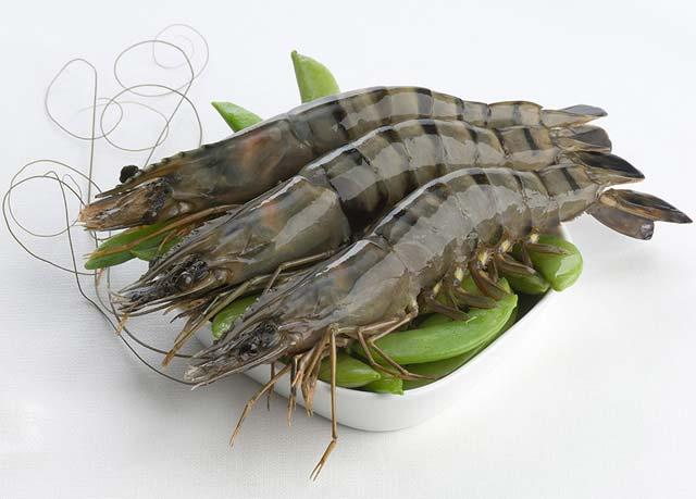 FROZEN RAW HOSO BLACK TIGER SHRIMP (CAMIMEX)