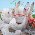  FROZEN RAW PEELED DEVEINED, TAIL ON (PTO) VANNAMEI SHRIMP (CAMIMEX) 2