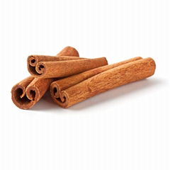 Cinnamon Bark Extract