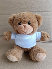 OEM ODM tedy bear custom 16cm small