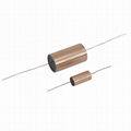 Non-magnetic Audio signal coupling capacitor