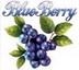 Blueberrry Exports Ltd
