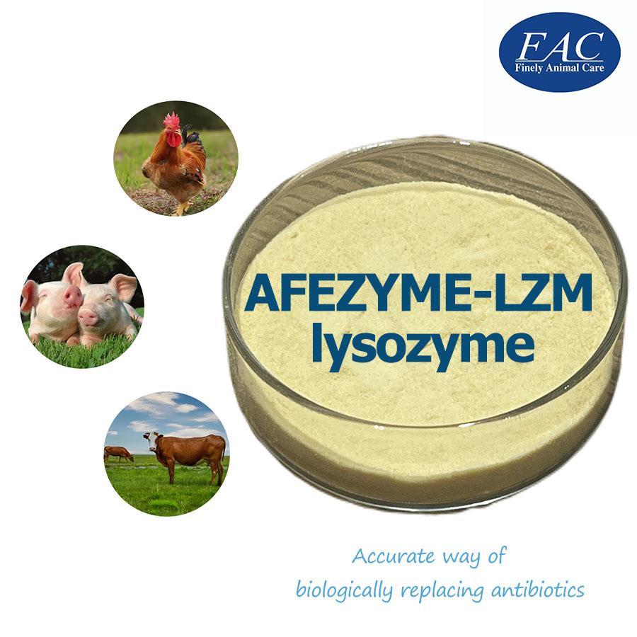 Afezyme-Lzm