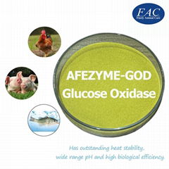 Pure Biological Enzyme Afezyme-God